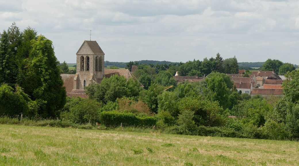 Vue depuis la rue du Château d'eau de l'église Saint-Denis et Saint-Lié de Savins, en Seine-et-Marne.