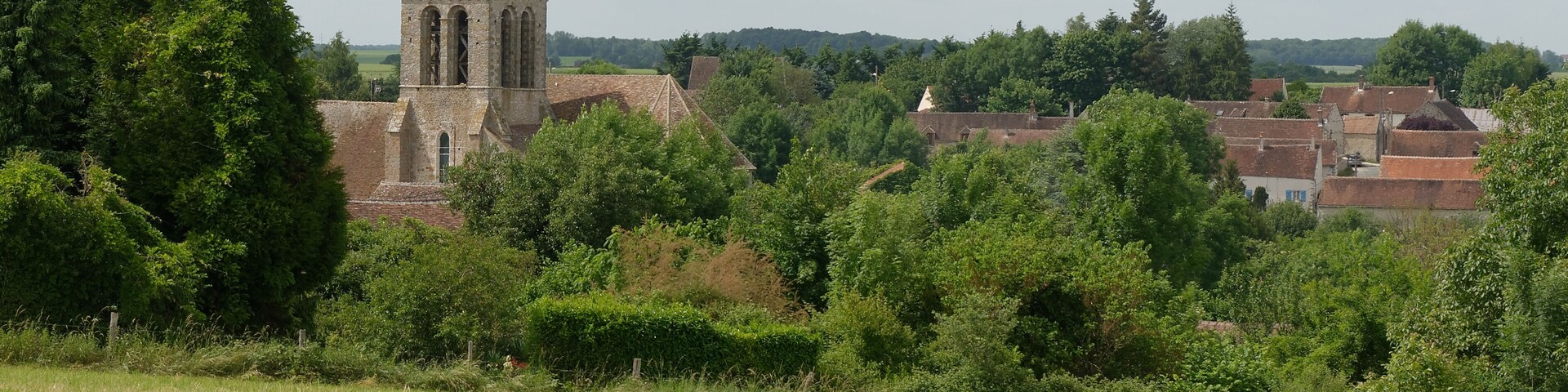 Vue depuis la rue du Château d'eau de l'église Saint-Denis et Saint-Lié de Savins, en Seine-et-Marne.