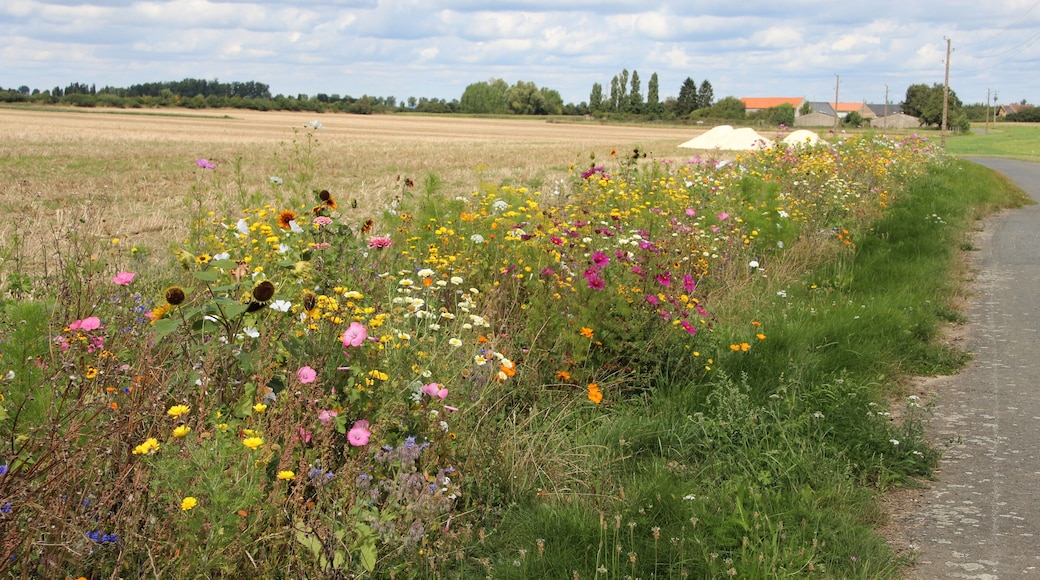 Hamlet of Brouville in Saint-Martin-de-Bréthencourt, France.