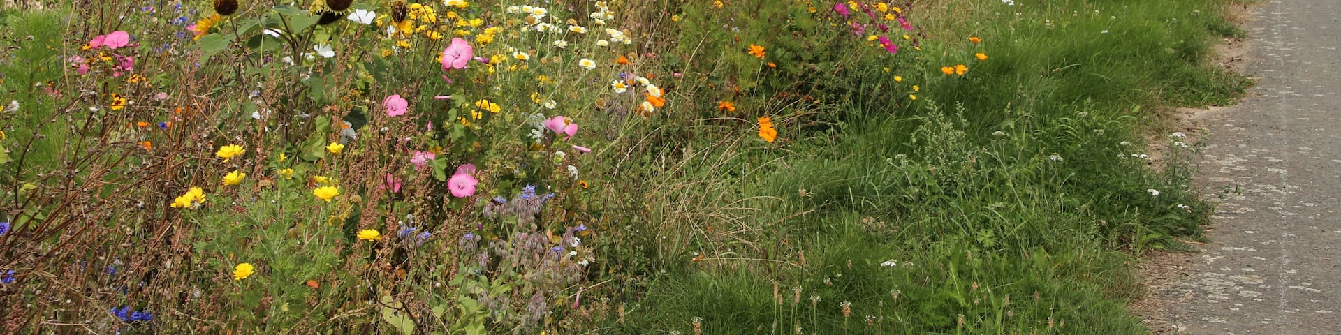 Hamlet of Brouville in Saint-Martin-de-Bréthencourt, France.