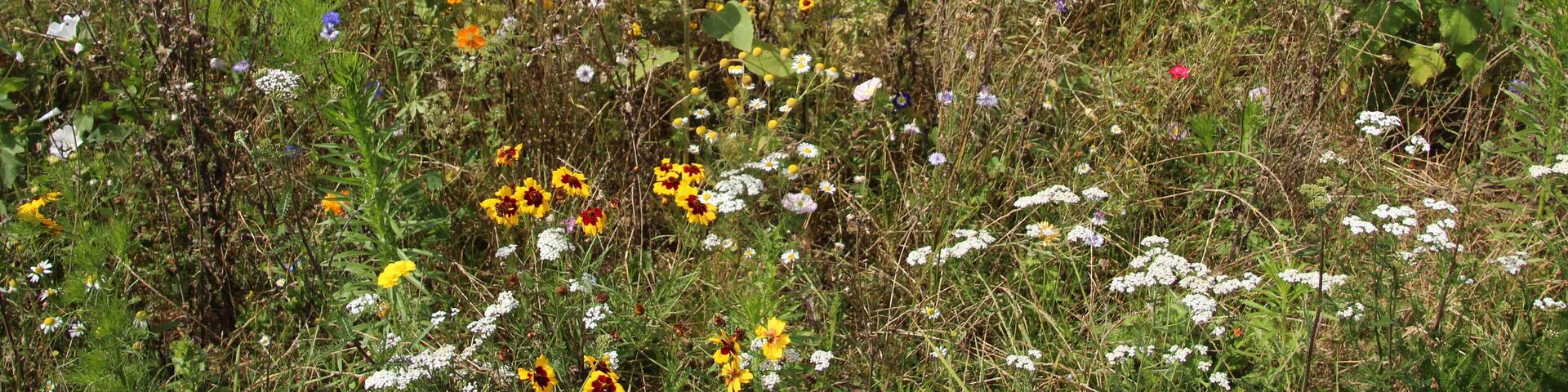Hamlet of Brouville in Saint-Martin-de-Bréthencourt, France.