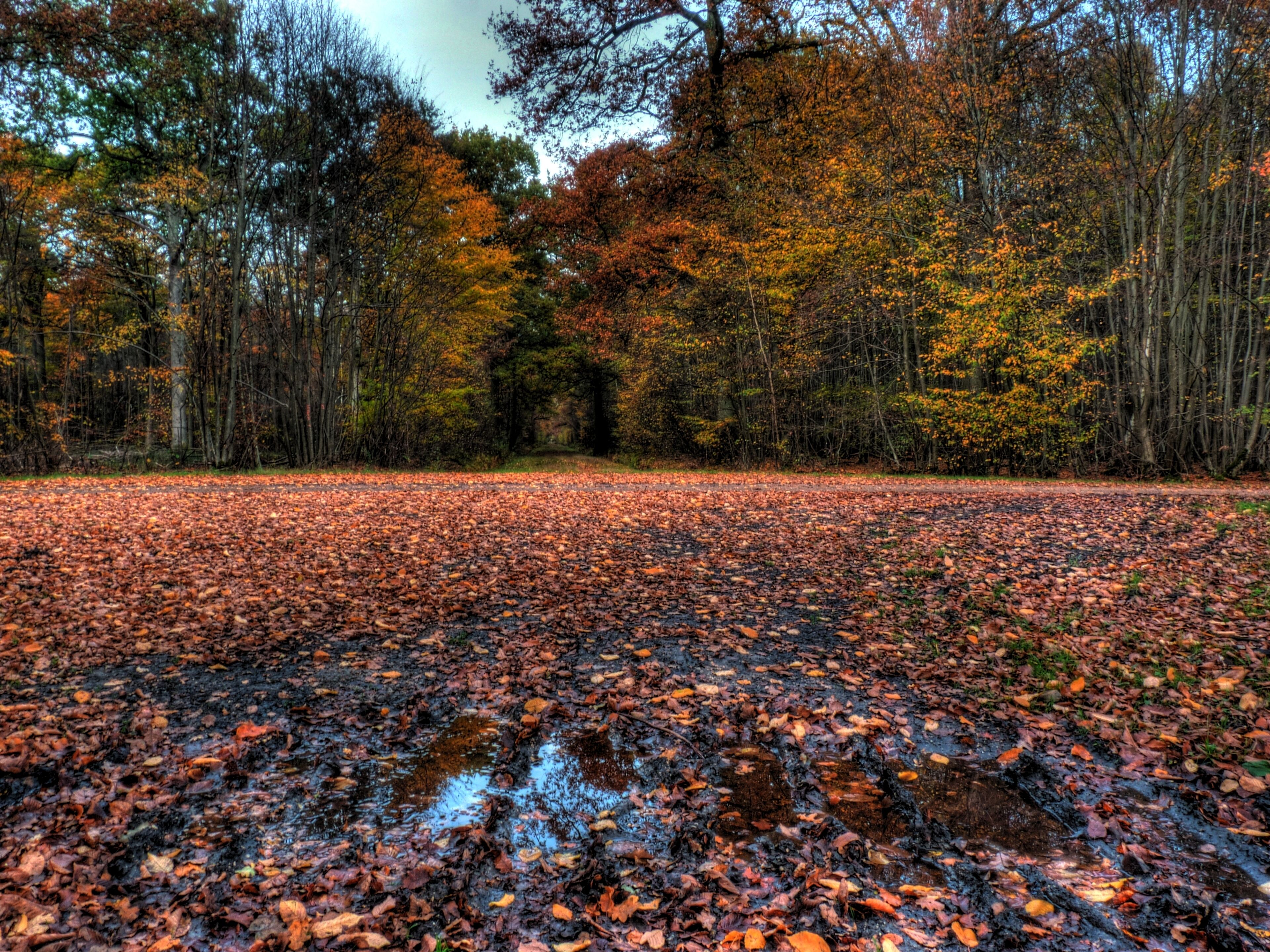Carrefour des Longuéolles