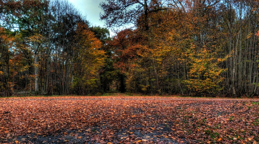 Carrefour des Longuéolles