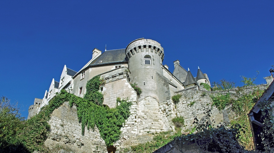Un castell històric amb una torre circular, teulades amb pendent pronunciat i parets cobertes de molsa.