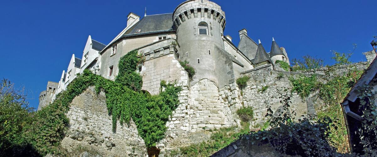 A historic castle with a round tower, steeply pitched roofs, and ivy-covered walls.