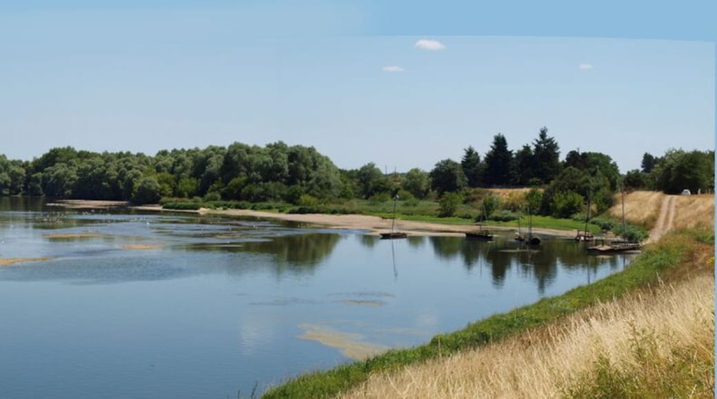 La Loire à Guilly (Loiret, France)