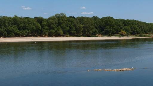 La Loire à Guilly (Loiret, France)