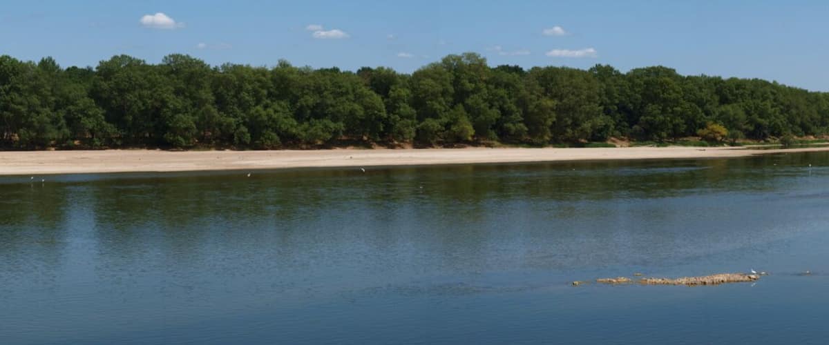 A river with a sandy beach and a forested island.