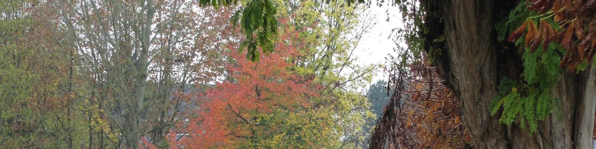 This building is classé au titre des Monuments Historiques. It is indexed in the Base Mérimée, a database of architectural heritage maintained by the French Ministry of Culture, under the reference PA00098649 .