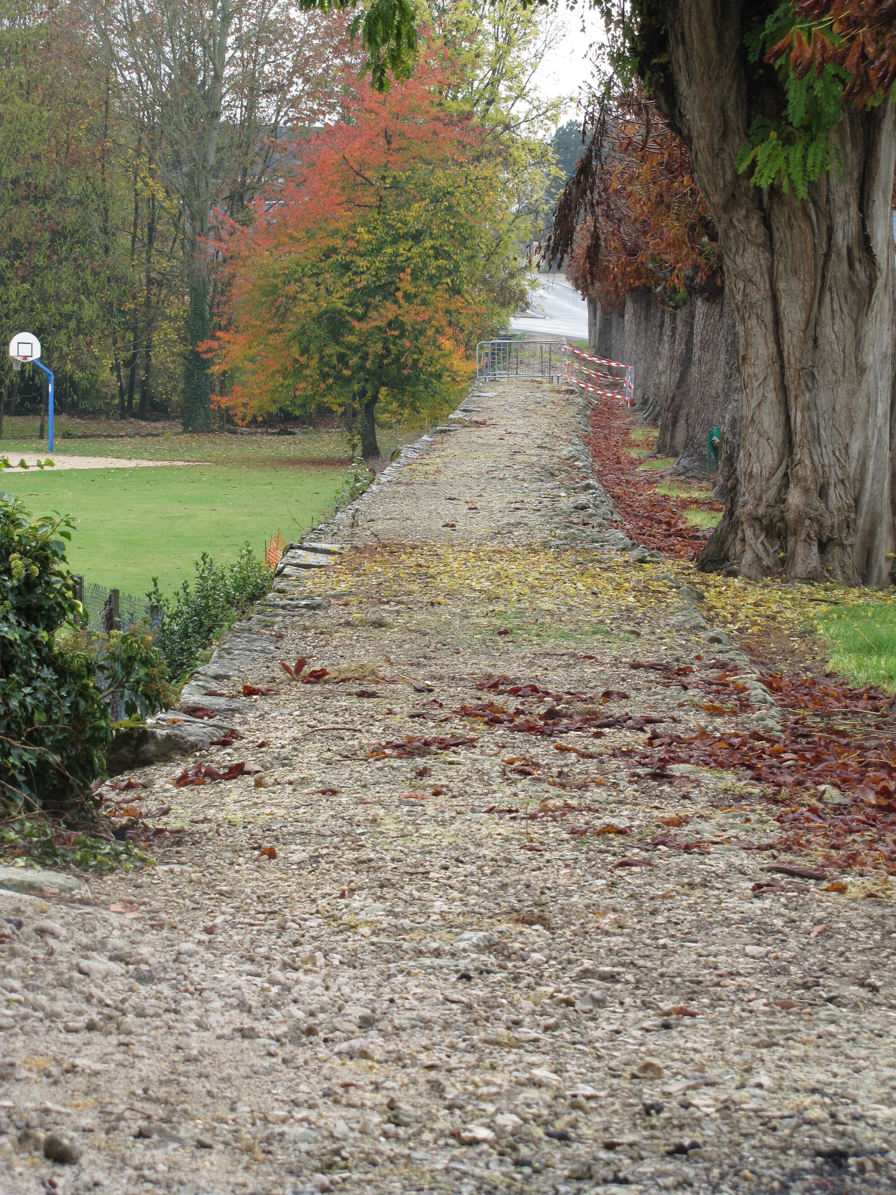 A gravel path with autumn leaves, a basketball hoop, and a stone wall.
