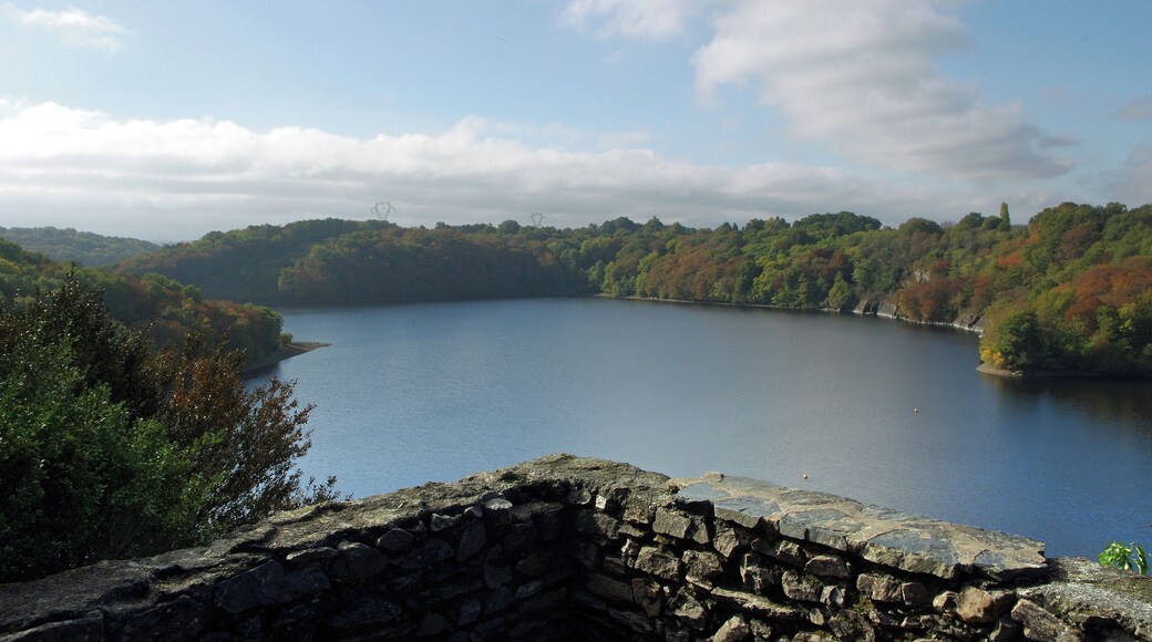 Cuzion (Indre) Barrage hydroĂ©lectrique d'Eguzon-Cuzion (ou Eguzon-ChantĂŽme) sur la Creuse. Les travaux dĂ©buteront en 1922 sur un projet initiĂ© en 1917. Dernier projet d'une sĂ©rie commencĂ©e en 1909 avec un barrage de 14 m, jusqu'Ă environ 60 m au final. Il s'agissait de faire face aux besoins Ă©lectrique du rĂ©seau de chemin de fer entre Vierzon et Toulouse. Il s'agit d'un barrage-poids voĂ»te. Mis en service en juin 1926, les 6 groupes de lâusine situĂ©e au pied du barrage sont alimentĂ©s par la retenue de 57,3 hmÂł. La production annuelle est de 105 GWh,l'Ă©quivalent de la consommation annuelle d'une ville d'environ 40 000 habitants. La retenue d'eau forme le lac de Chambon.