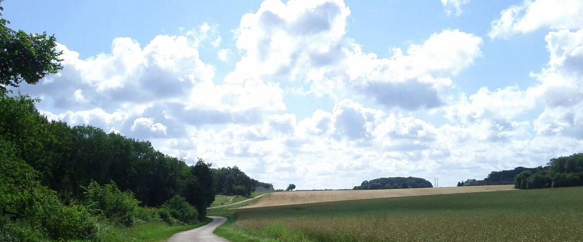 A rural road winding through fields under a partly cloudy sky.