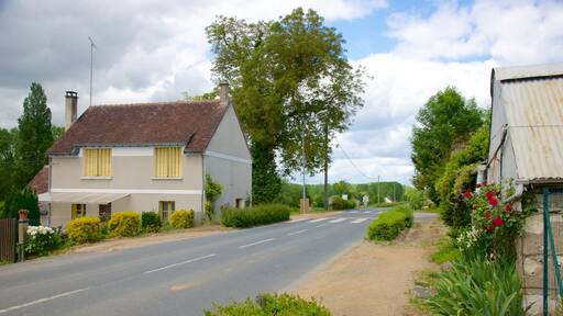 Centre - Loire Valley showing a house