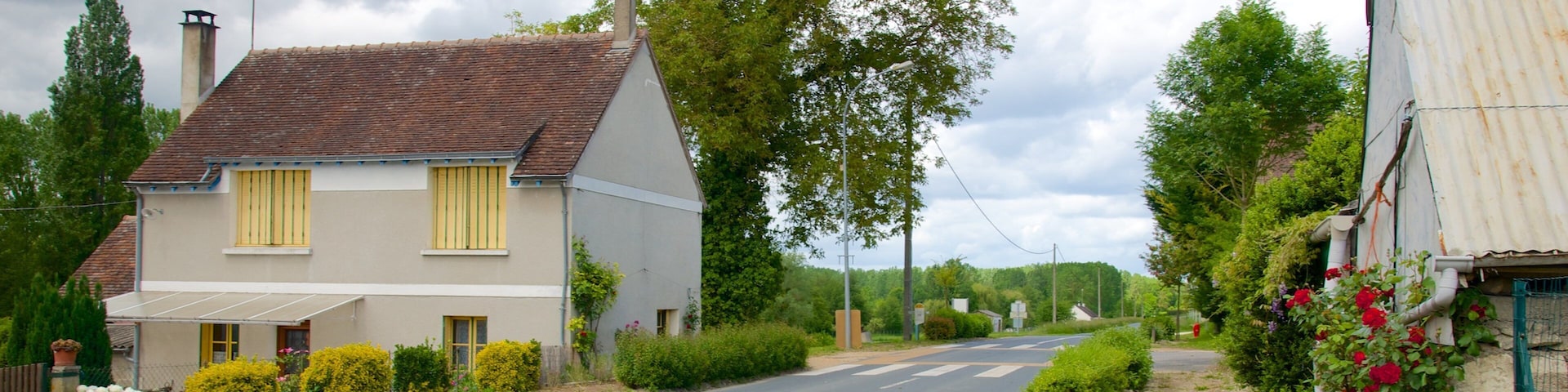Centre - Loire Valley showing a house