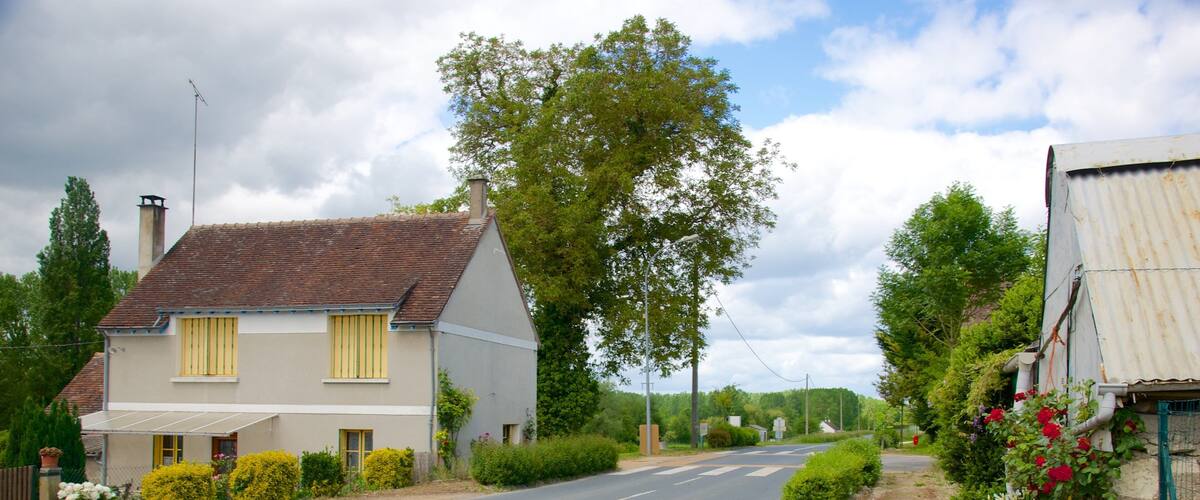 A rural road flanked by houses with a large tree and flowering plants.