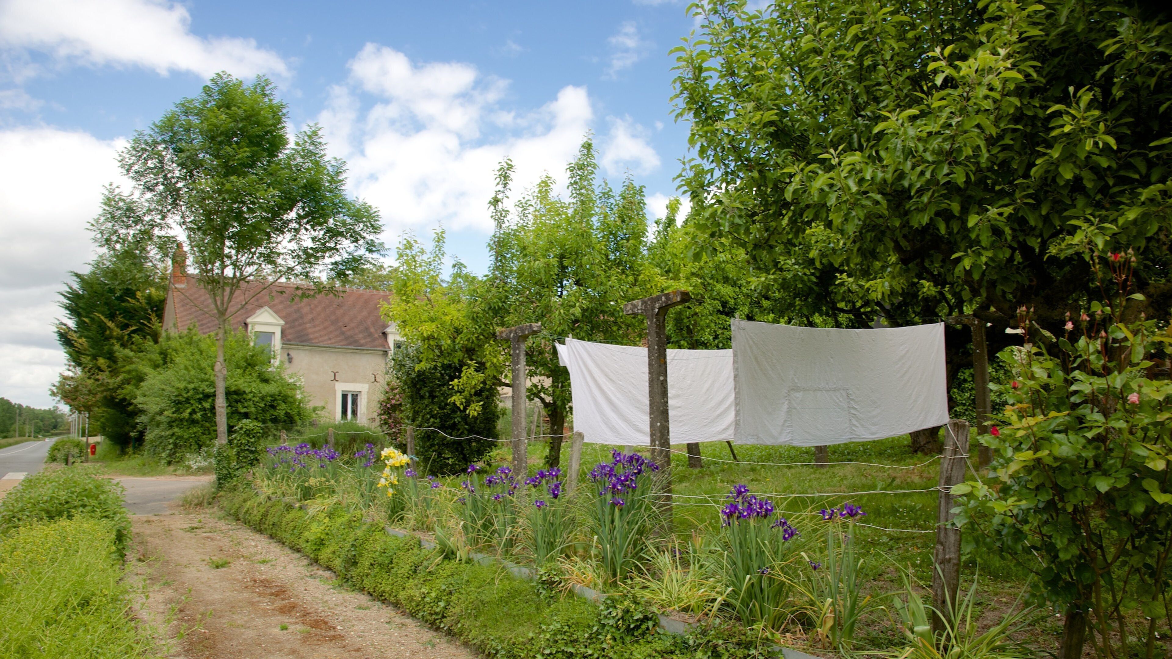Centre - Loire Valley som inkluderar ett hus