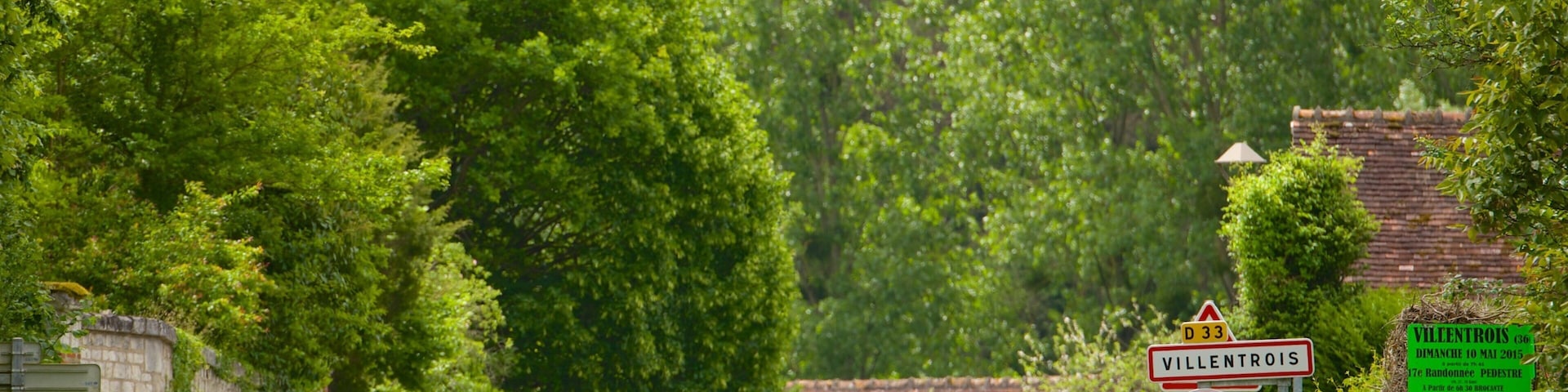 Centro - Valle del Loira ofreciendo una pequeña ciudad o aldea