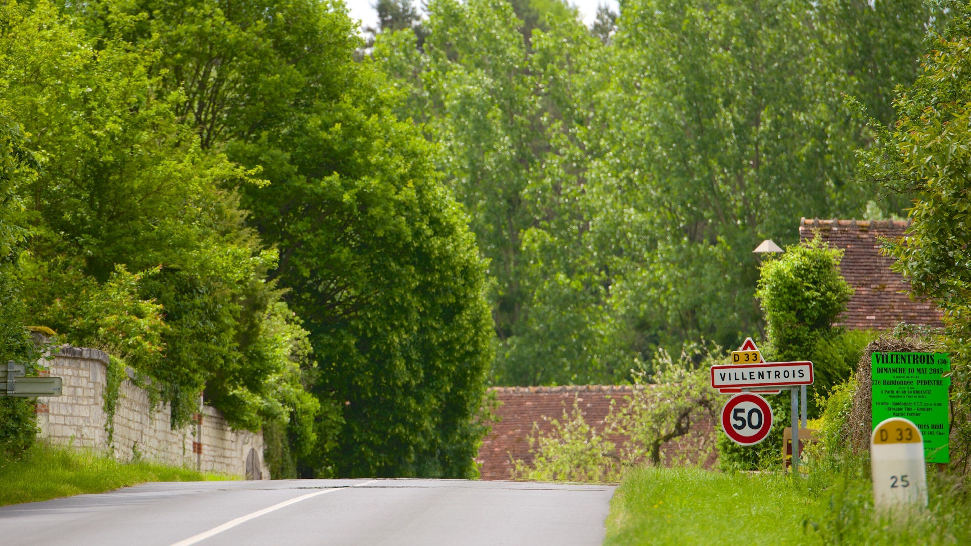 A rural road with a speed limit sign of 50 km/h, surrounded by lush greenery and a stone wall.