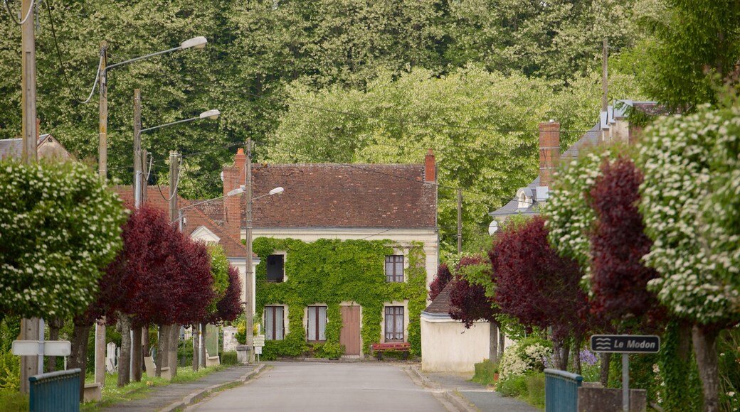 Centre - Valle della Loira che include piccola città o villaggio