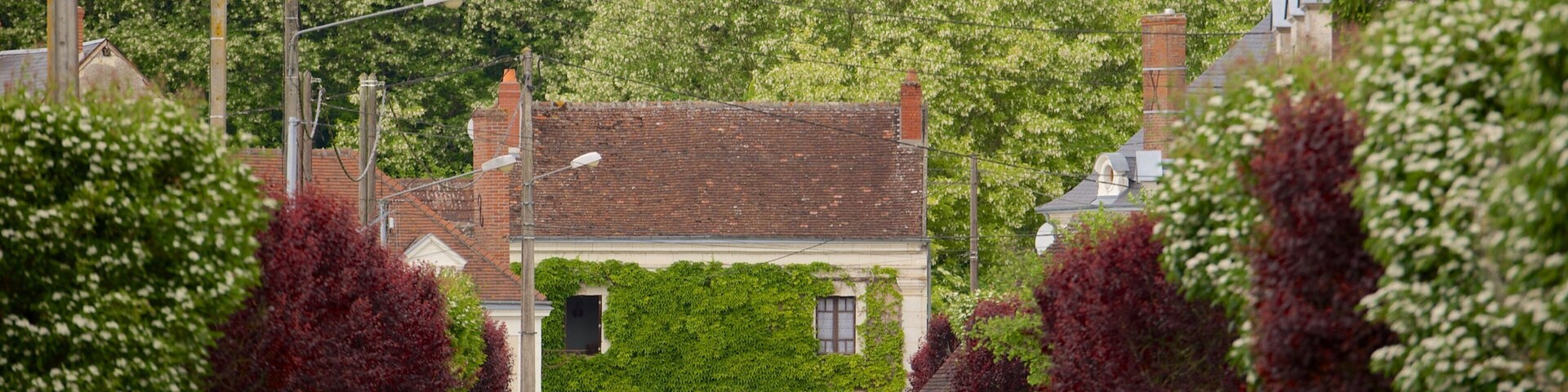 Centre - Loire Valley featuring a small town or village
