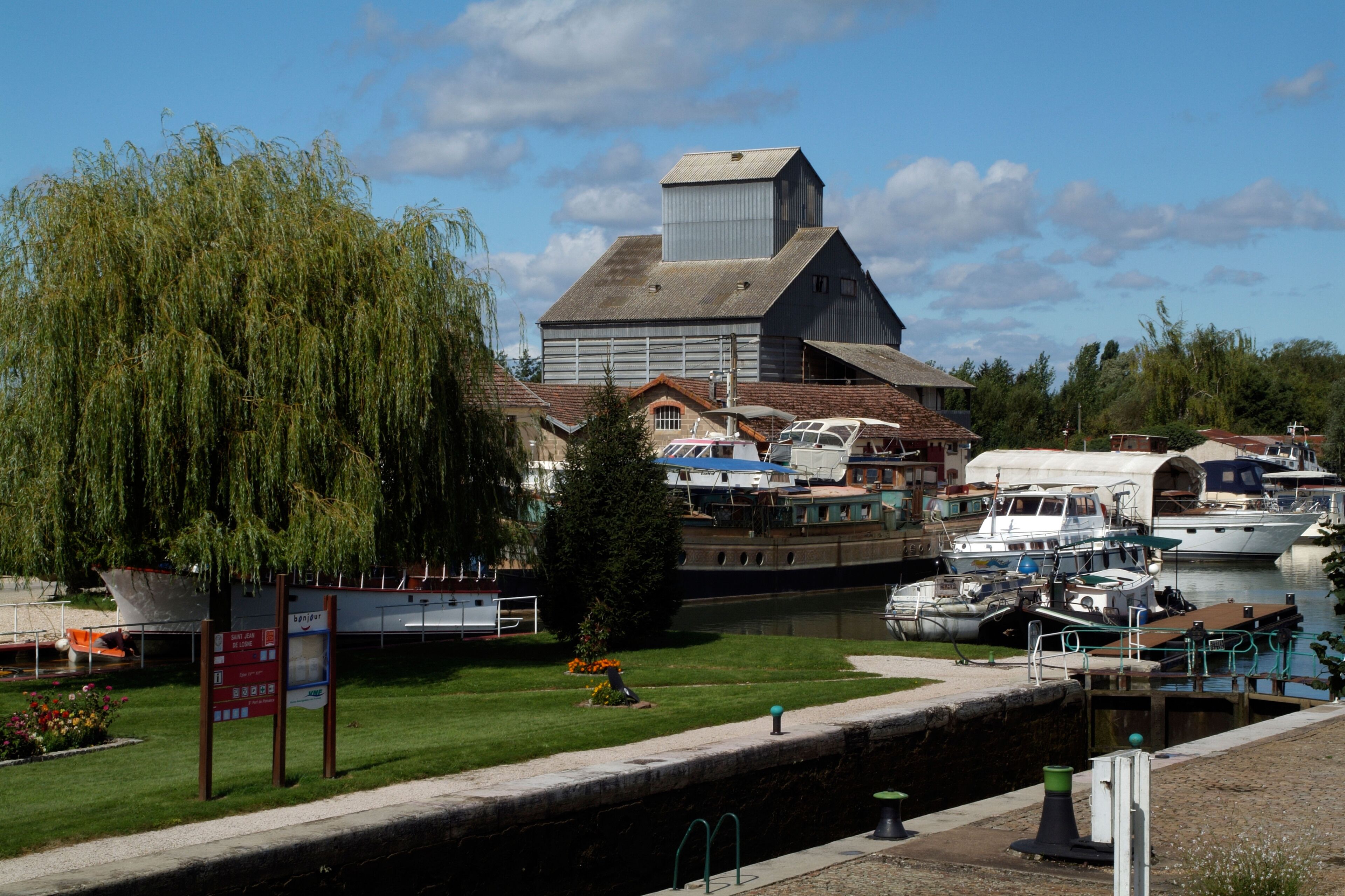 A canal with boats, a large building, and a willow tree.