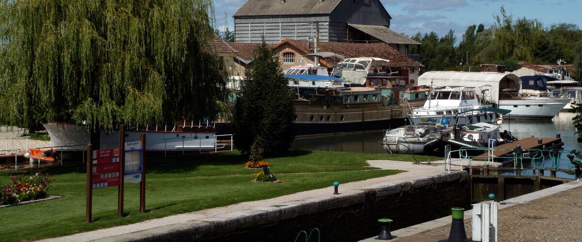 A canal with boats, a large building, and a willow tree.