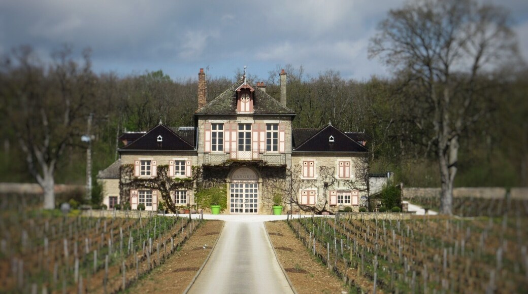 Burgundy in France is my favourite wine region. Split geographically from Chablis in the North, Côte d'Or and Cote de Chalonnais centrally, and Beaujolais in the South, the range of wines made from single grape varieties is amazing. Pinot Noir or Gamay for red, Chardonnay or Aligote for white (Though a little Sauvignon Blanc in St Bris near Chablis.) The world's most expensive wine is made here, if you really want to know its a Vosne-Romanee, Richebourg Grand Cru, Henri Jayer, selling at an average of $15,195 across all vintages, per bottle. Yes, per BOTTLE!
Driving around this region is a pure delight to wine and food lovers, but it's landscape and architecture is a joy too. Everywhere there are large and small domains like this one on the main road between Nuits St George and Beaune, surrounded by vines and woodland. The fields of vines are small, parcels as they are known, a result of France's inheritance system going back to mediaeval times with original larger fields maybe being carved up between several brothers. So, if you visit France and need to visit one more place other than Paris, then make it Burgundy!