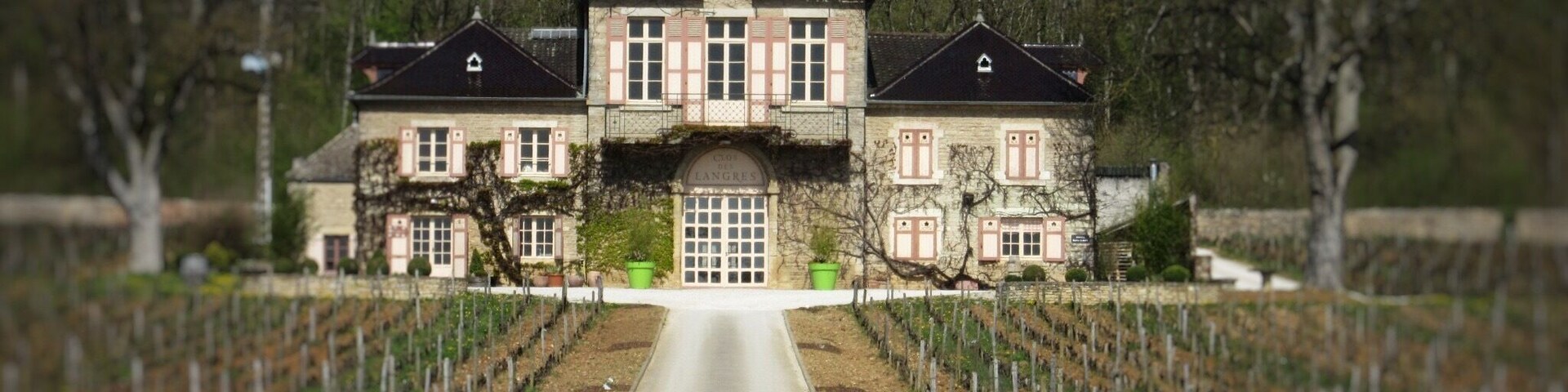 Burgundy in France is my favourite wine region. Split geographically from Chablis in the North, Côte d'Or and Cote de Chalonnais centrally, and Beaujolais in the South, the range of wines made from single grape varieties is amazing. Pinot Noir or Gamay for red, Chardonnay or Aligote for white (Though a little Sauvignon Blanc in St Bris near Chablis.) The world's most expensive wine is made here, if you really want to know its a Vosne-Romanee, Richebourg Grand Cru, Henri Jayer, selling at an average of $15,195 across all vintages, per bottle. Yes, per BOTTLE!
Driving around this region is a pure delight to wine and food lovers, but it's landscape and architecture is a joy too. Everywhere there are large and small domains like this one on the main road between Nuits St George and Beaune, surrounded by vines and woodland. The fields of vines are small, parcels as they are known, a result of France's inheritance system going back to mediaeval times with original larger fields maybe being carved up between several brothers. So, if you visit France and need to visit one more place other than Paris, then make it Burgundy!