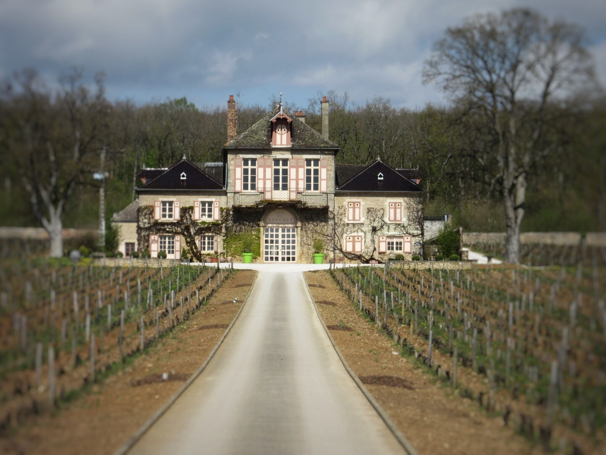 A large estate with a central driveway leading to a grand house surrounded by vineyards.