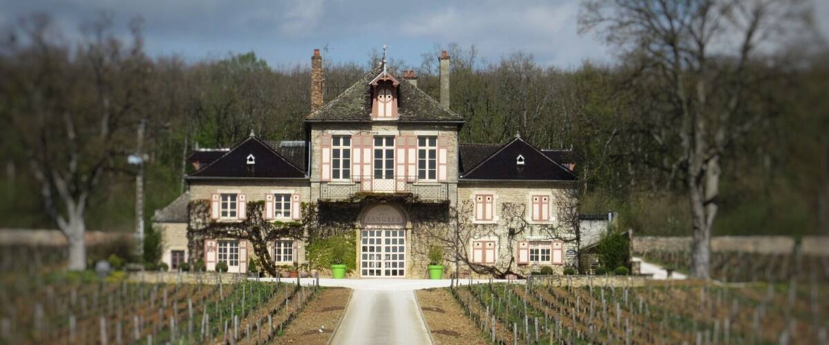A large estate with a central driveway leading to a grand house surrounded by vineyards.
