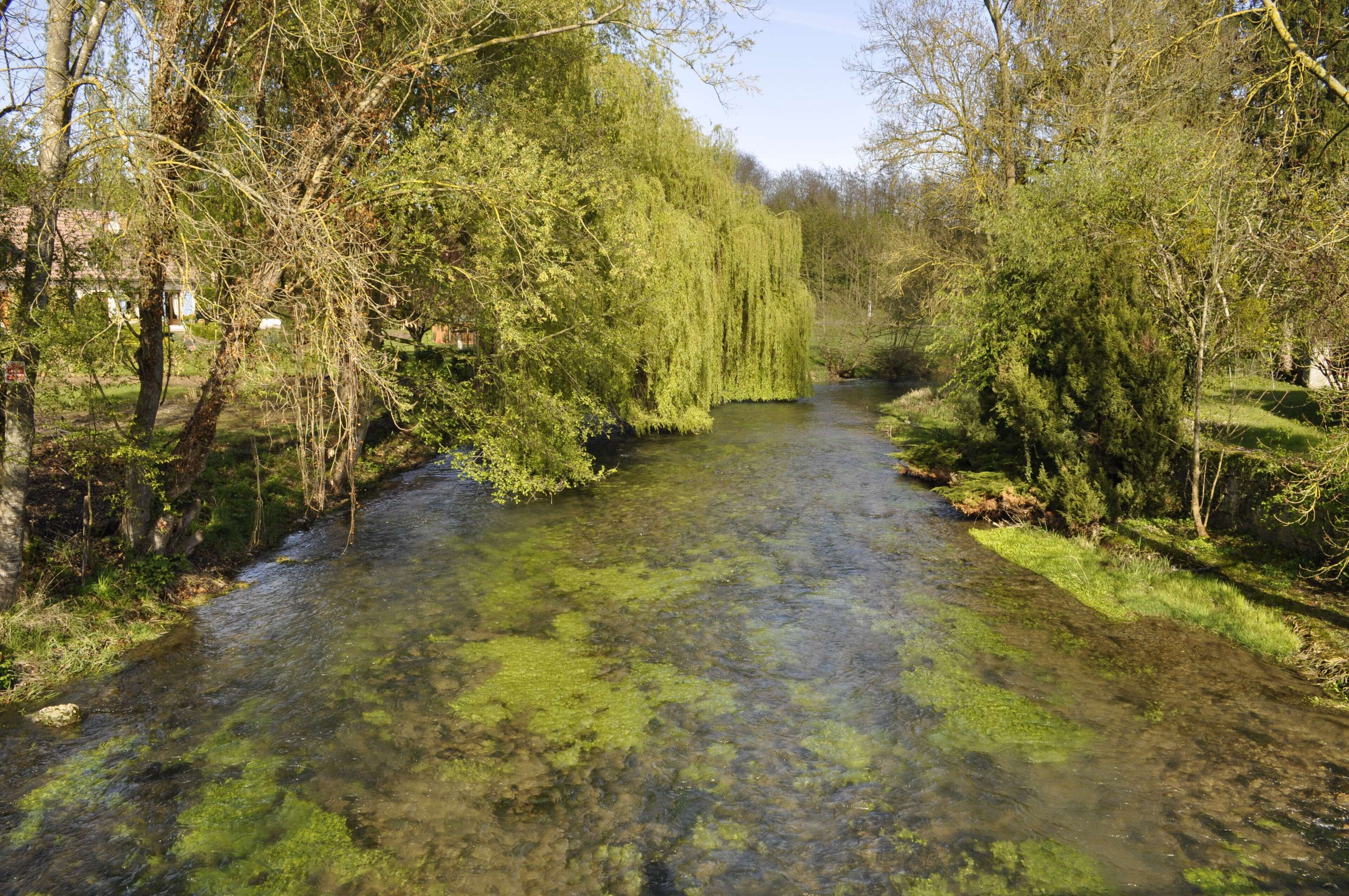 Pont sur la Bèze à Noiron-sur-Bèze (C ôte d'Or).