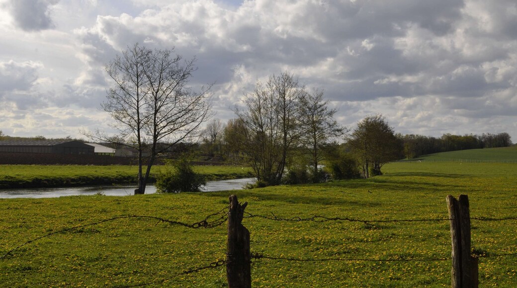 La Bèze en plein champs à Noiron-sur-Bèze (Côte d'Or).