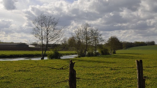 La Bèze en plein champs à Noiron-sur-Bèze (Côte d'Or).