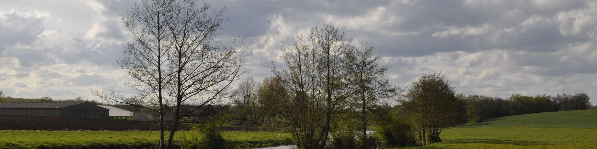 La Bèze en plein champs à Noiron-sur-Bèze (Côte d'Or).