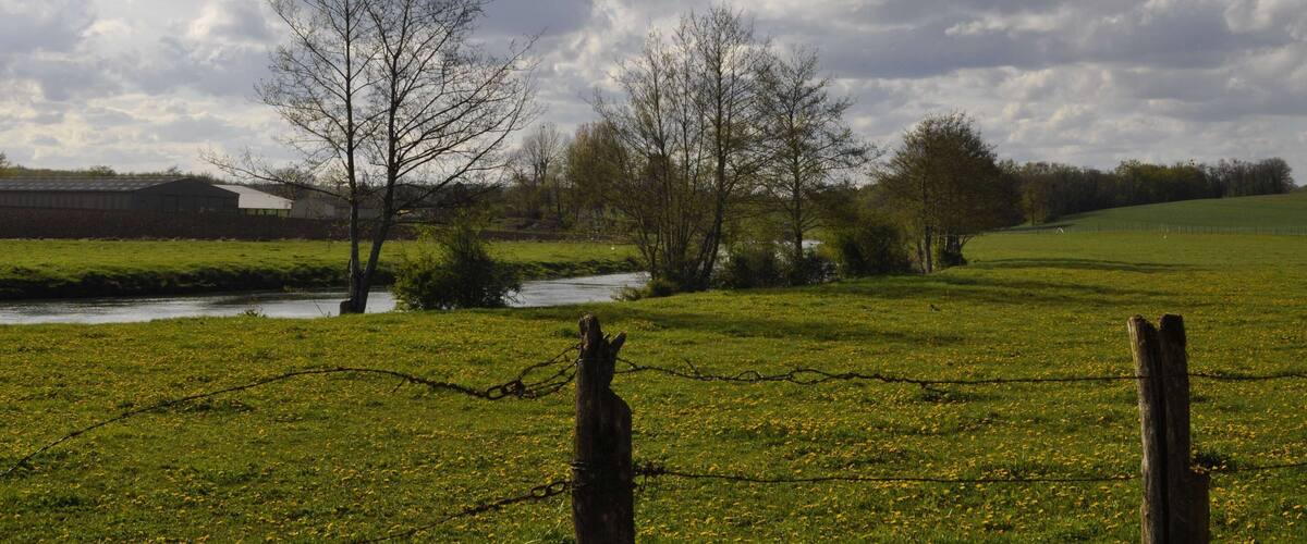 A rural landscape with a river, green fields, and a cloudy sky.