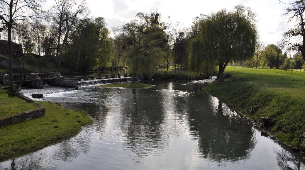 La Bèze à Noiron-sur-Bèze (Côte d'Or).