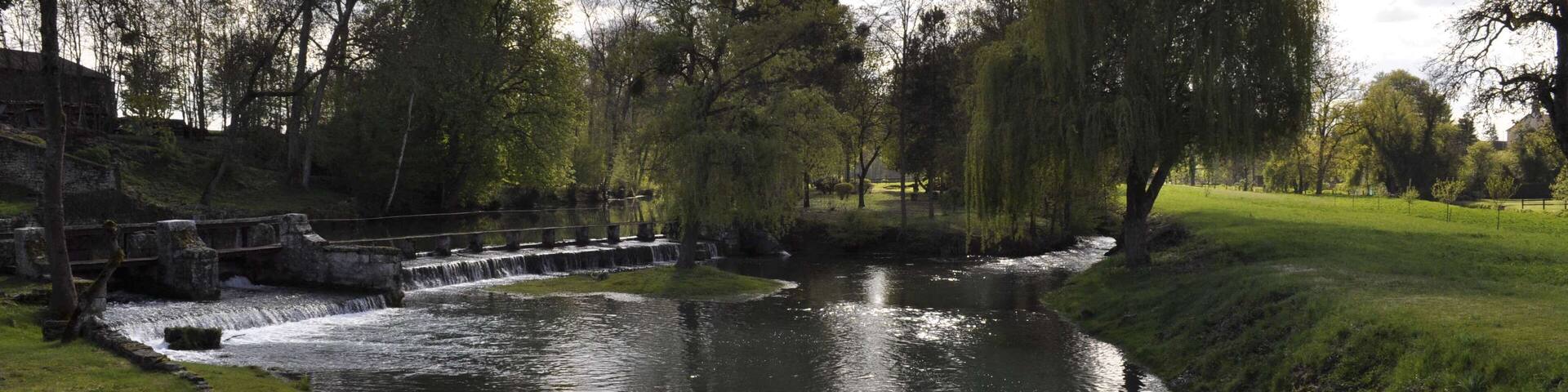 La Bèze à Noiron-sur-Bèze (Côte d'Or).