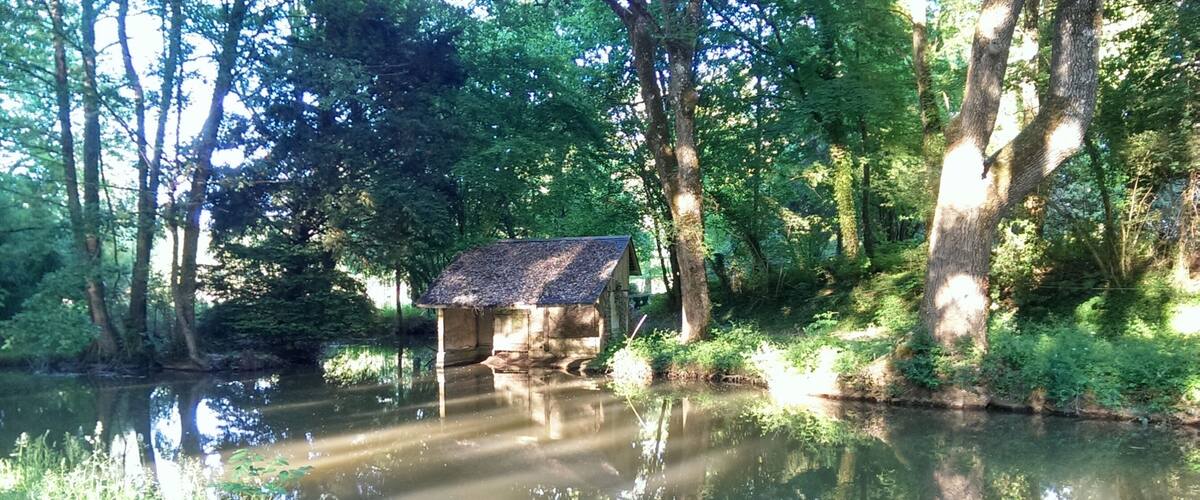 A rustic cabin by a calm river surrounded by dense forest.