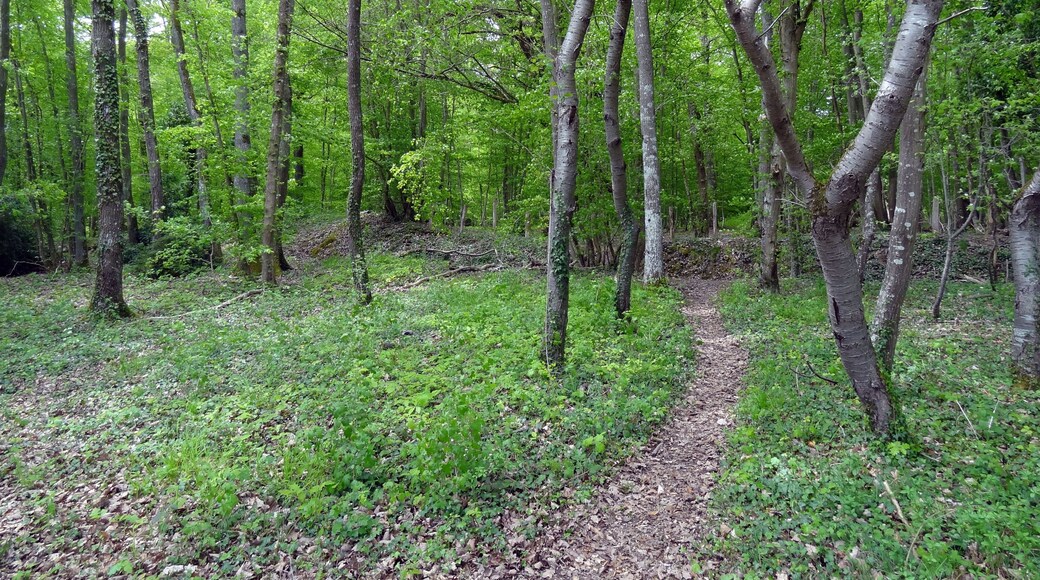 Réserve naturelle régionale de la vallée des Cailles