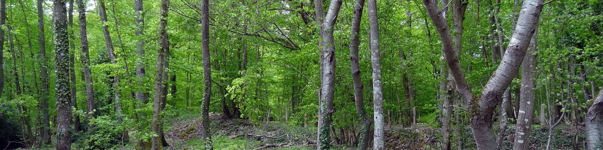 Réserve naturelle régionale de la vallée des Cailles