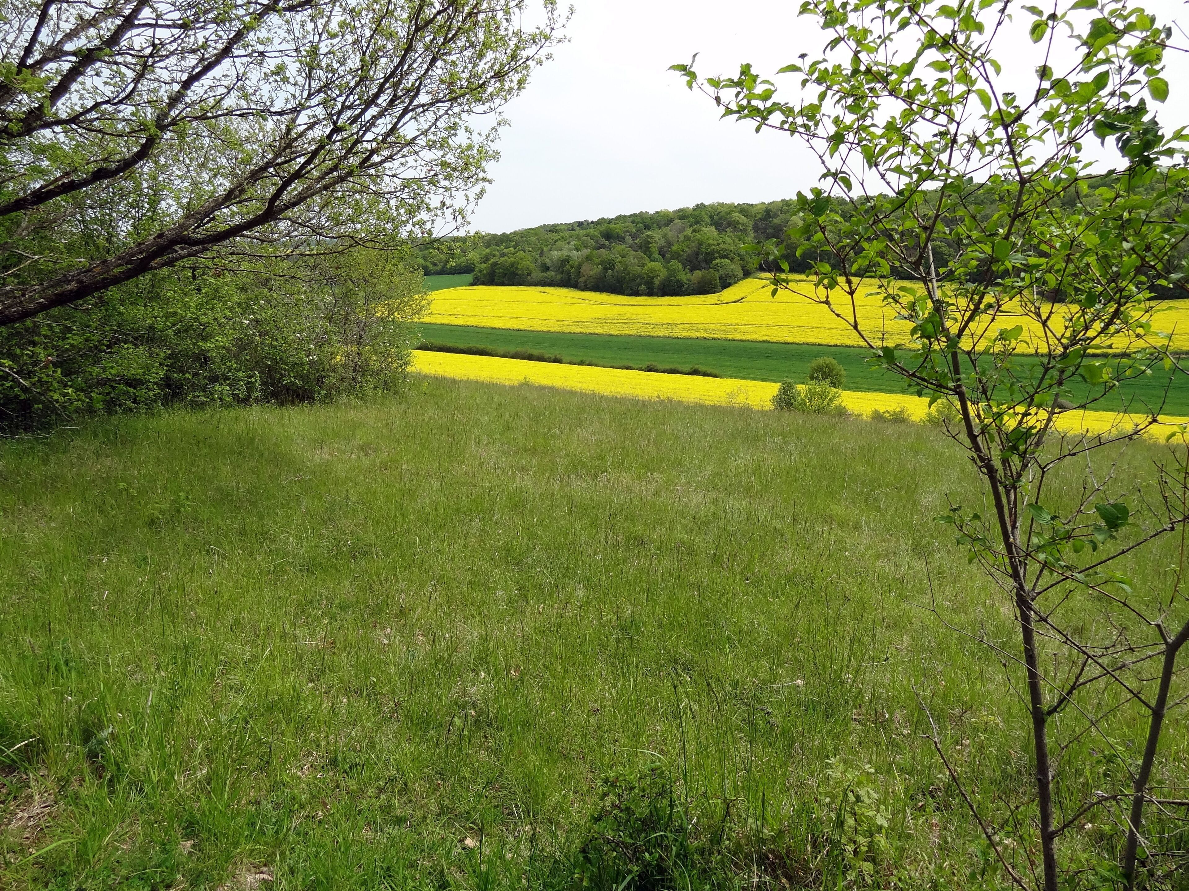 Réserve naturelle régionale de la vallée des Cailles