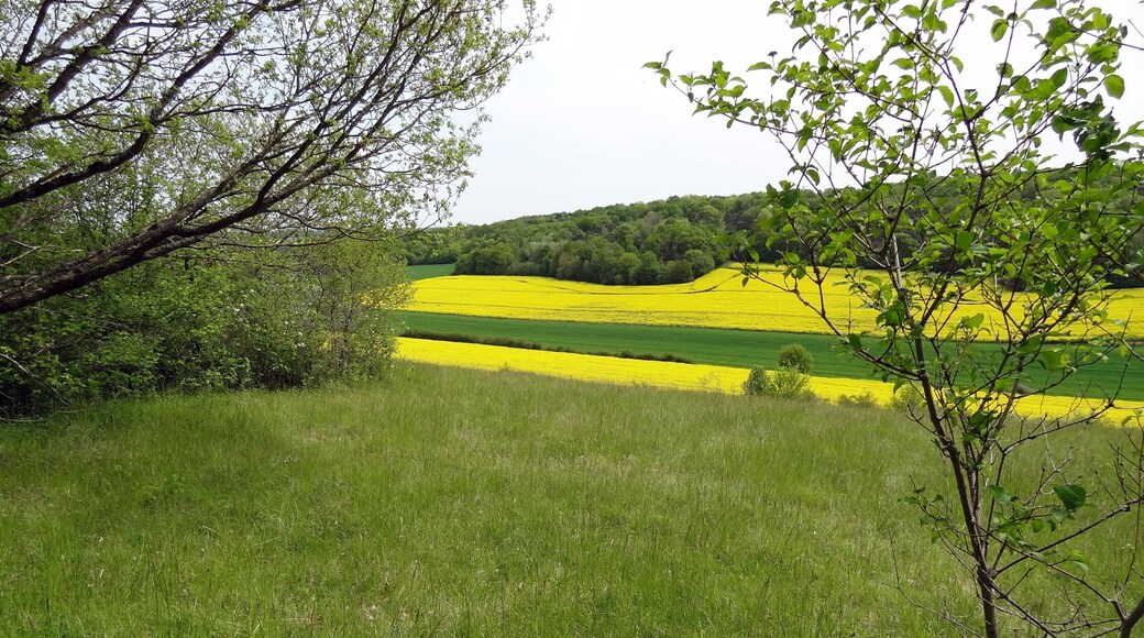 Réserve naturelle régionale de la vallée des Cailles