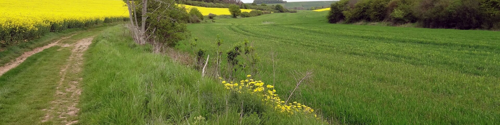 Réserve naturelle régionale de la vallée des Cailles