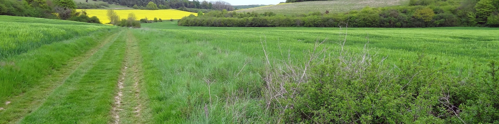 Réserve naturelle régionale de la vallée des Cailles