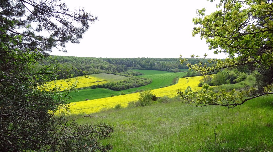 Réserve naturelle régionale de la vallée des Cailles
