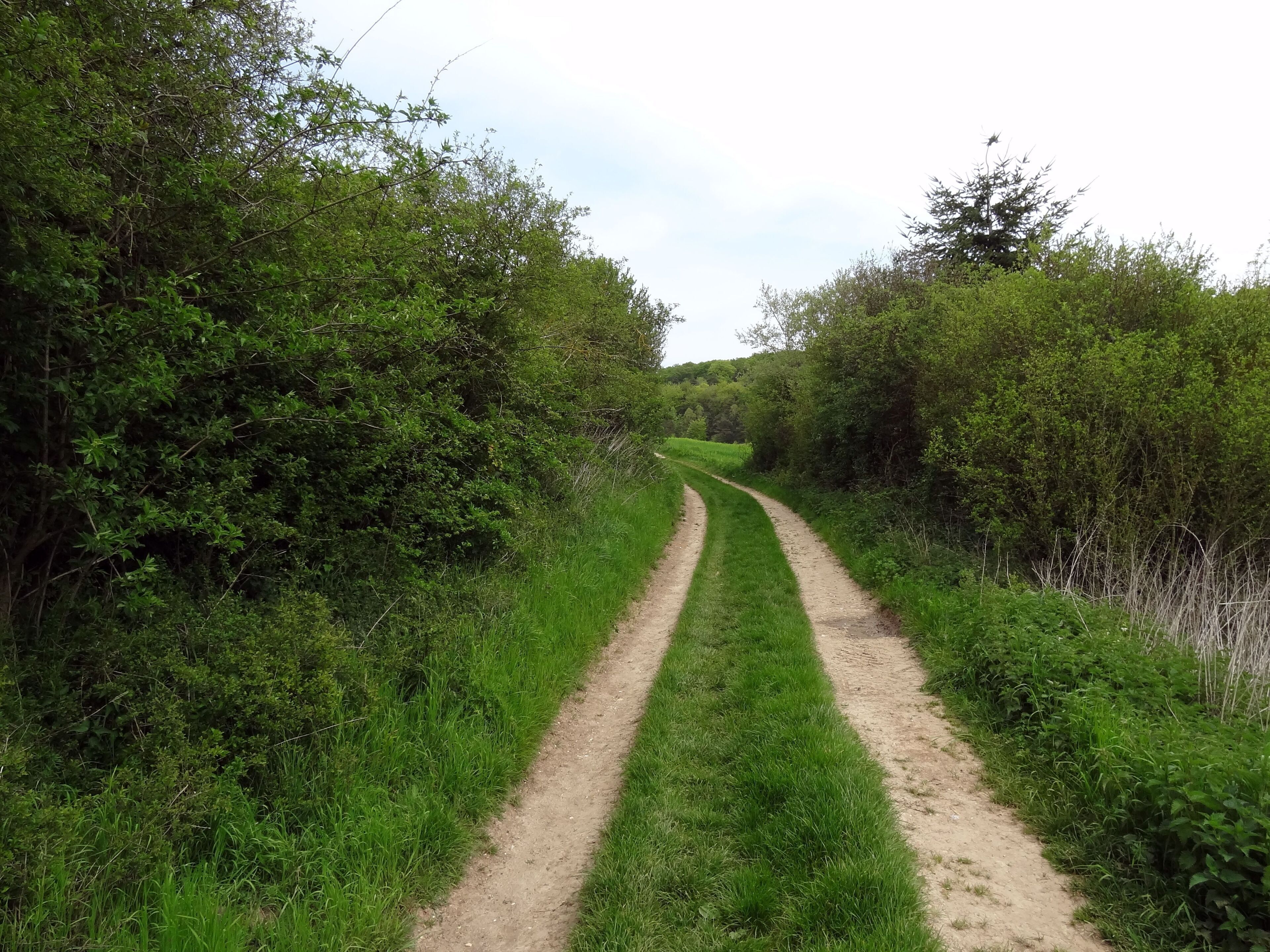 Réserve naturelle régionale de la vallée des Cailles
