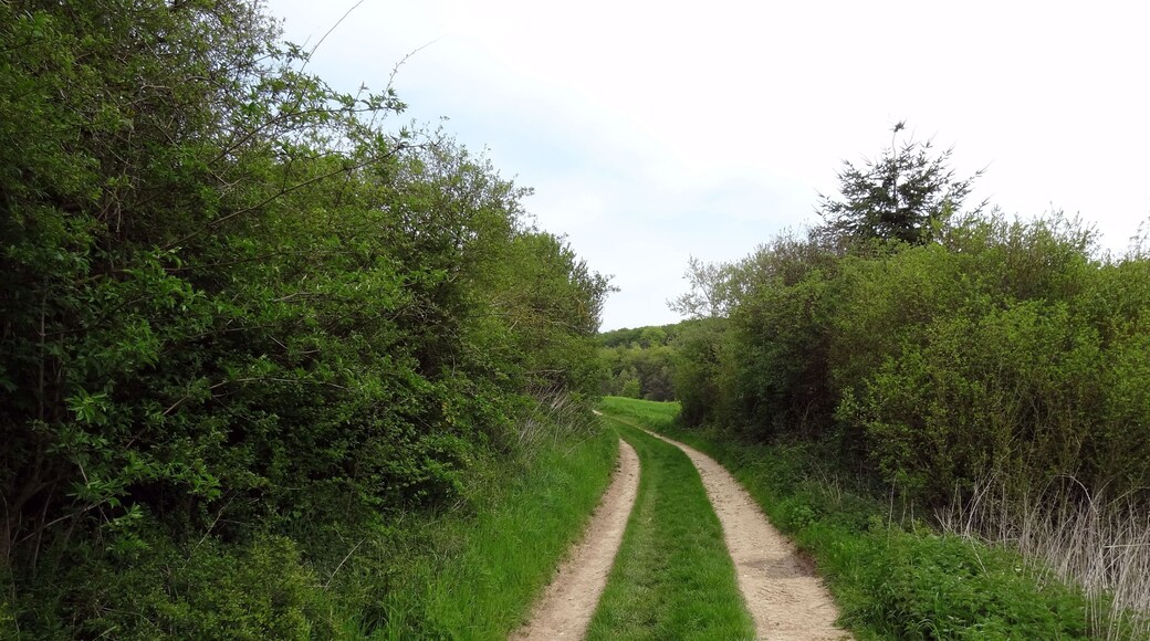 Réserve naturelle régionale de la vallée des Cailles