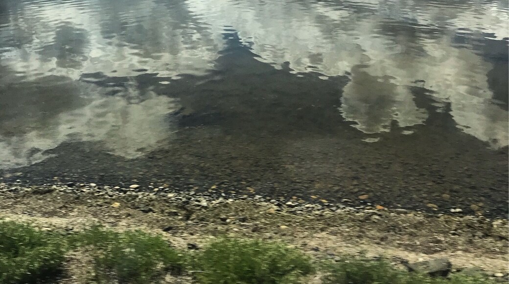 No idea where in Languedoc i was, but i took this amazing photo by train somewhere outside Perpignan.
