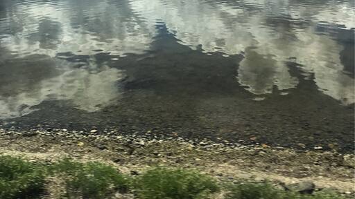 No idea where in Languedoc i was, but i took this amazing photo by train somewhere outside Perpignan.