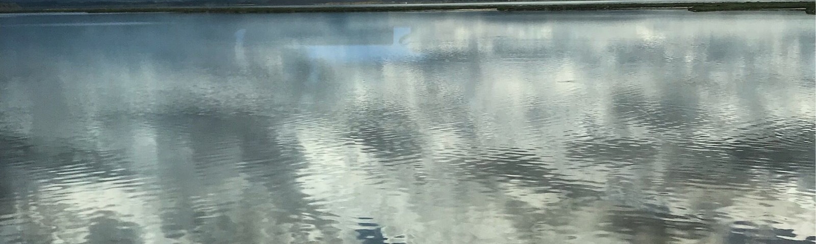 No idea where in Languedoc i was, but i took this amazing photo by train somewhere outside Perpignan.